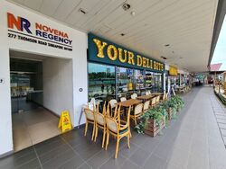 Novena Regency (D11), Apartment #391639391